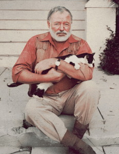 Hemingway's Take on CBNp (We Assume)